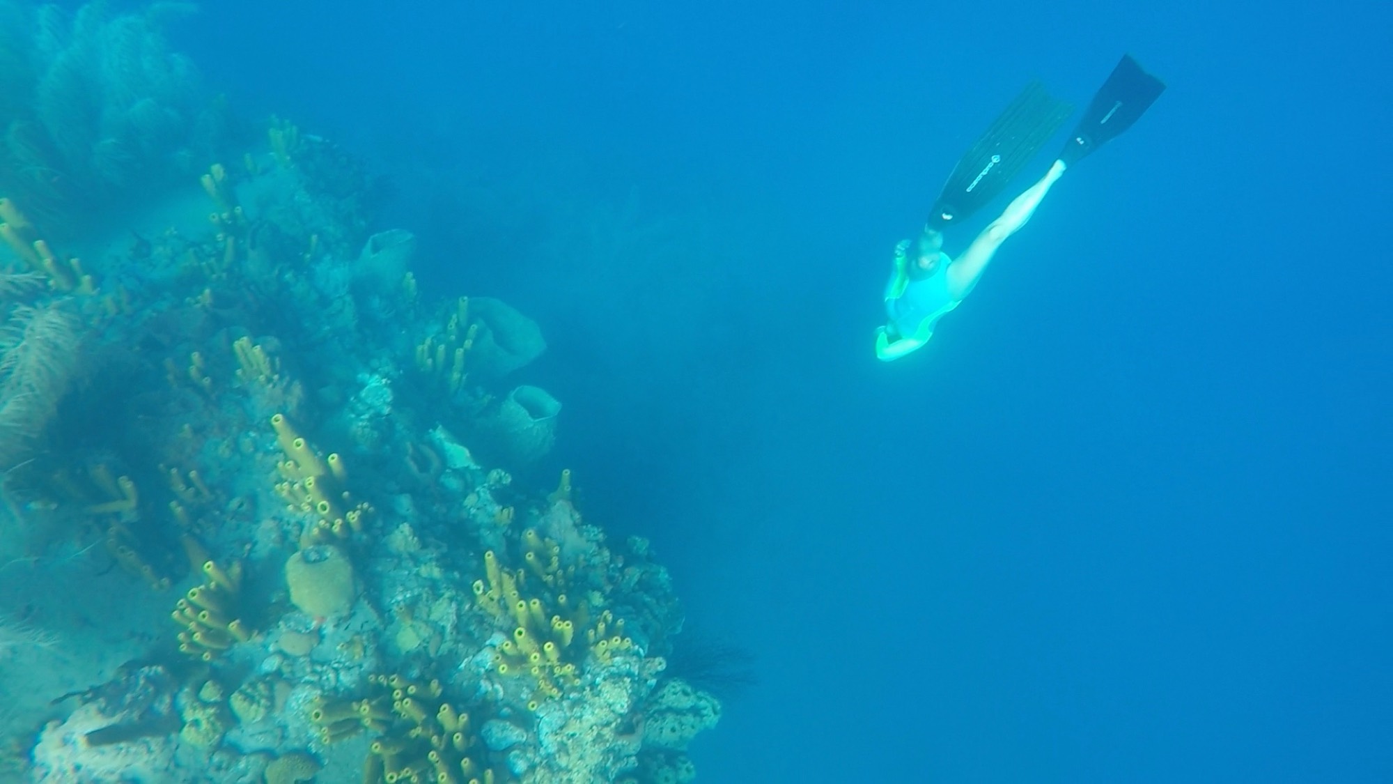 Freediving over a coral reef in the Caribbean
